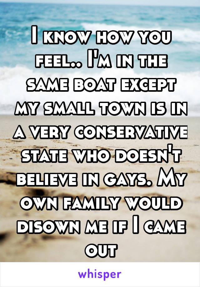 I know how you feel.. I'm in the same boat except my small town is in a very conservative state who doesn't believe in gays. My own family would disown me if I came out