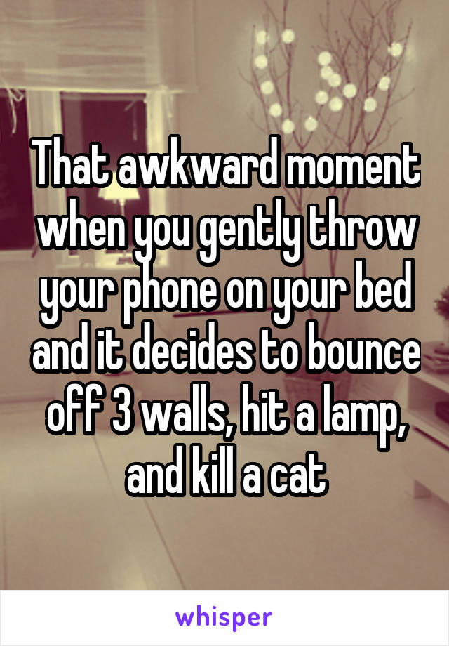 That awkward moment when you gently throw your phone on your bed and it decides to bounce off 3 walls, hit a lamp, and kill a cat