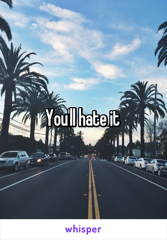 You'll hate it 