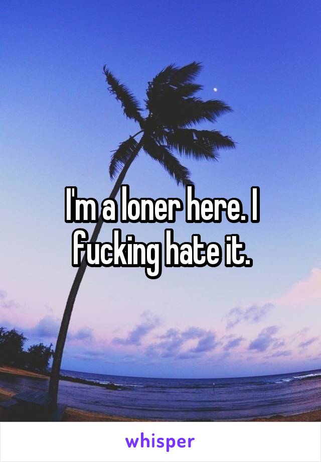 I'm a loner here. I fucking hate it.