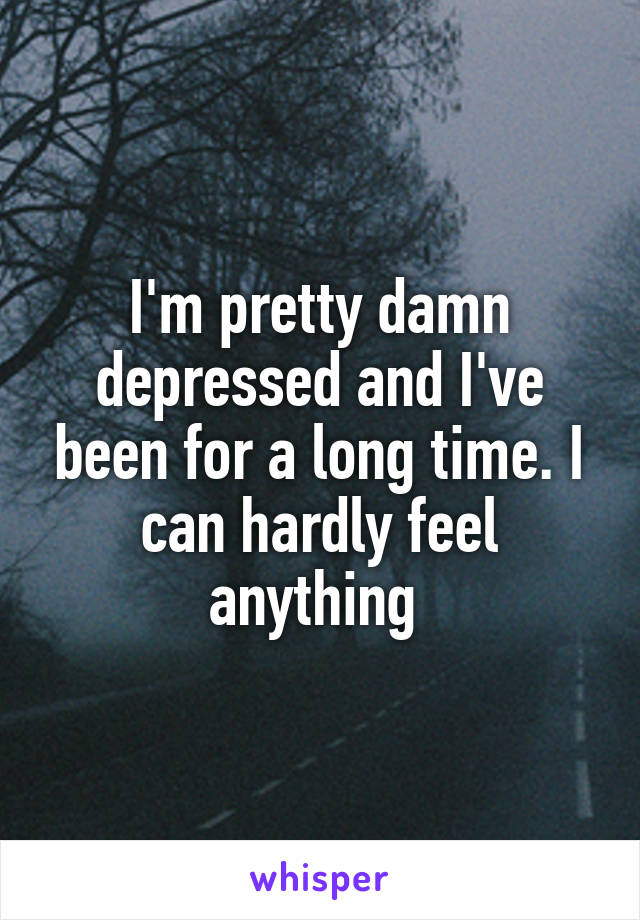 I'm pretty damn depressed and I've been for a long time. I can hardly feel anything 