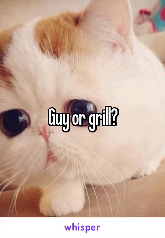 Guy or grill?