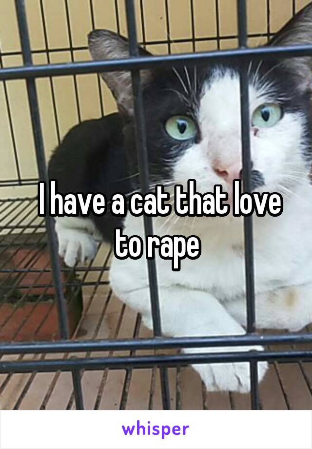  I have a cat that love to rape