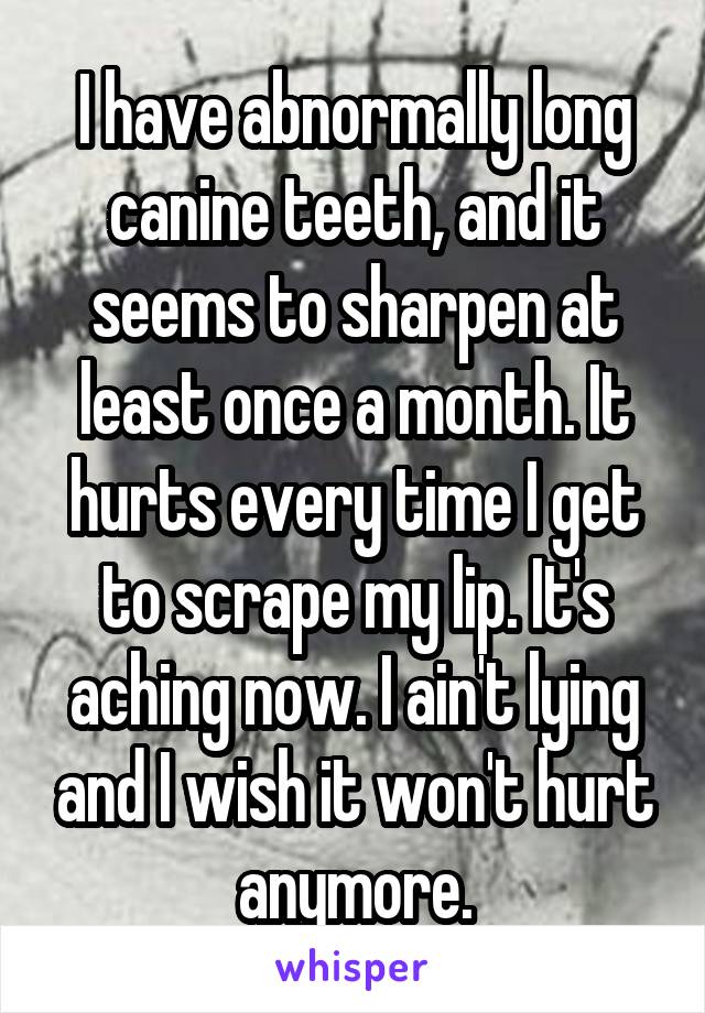 I have abnormally long canine teeth, and it seems to sharpen at least once a month. It hurts every time I get to scrape my lip. It's aching now. I ain't lying and I wish it won't hurt anymore.