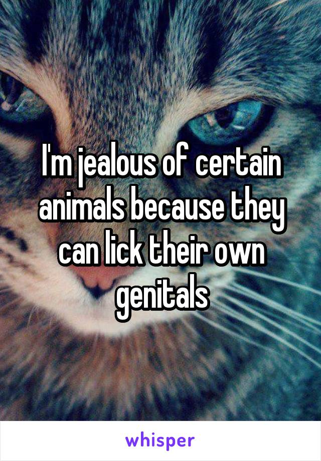 I'm jealous of certain animals because they can lick their own genitals