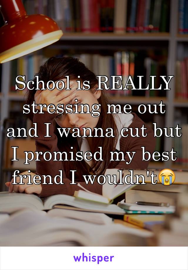 School is REALLY stressing me out and I wanna cut but I promised my best friend I wouldn't😭