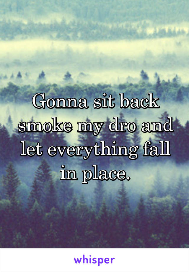 Gonna sit back smoke my dro and let everything fall in place.