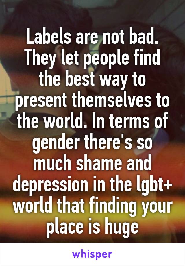 Labels are not bad. They let people find the best way to present themselves to the world. In terms of gender there's so much shame and depression in the lgbt+ world that finding your place is huge