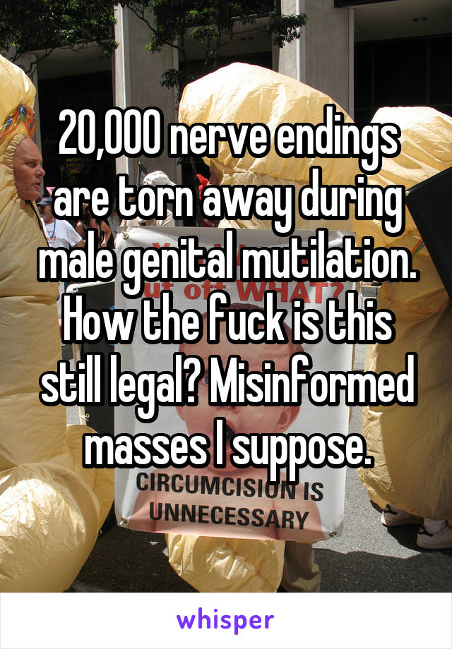 20,000 nerve endings are torn away during male genital mutilation. How the fuck is this still legal? Misinformed masses I suppose.
