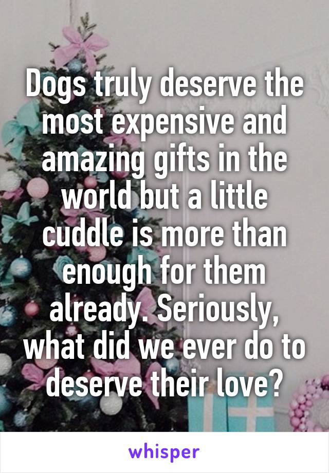 Dogs truly deserve the most expensive and amazing gifts in the world but a little cuddle is more than enough for them already. Seriously, what did we ever do to deserve their love?