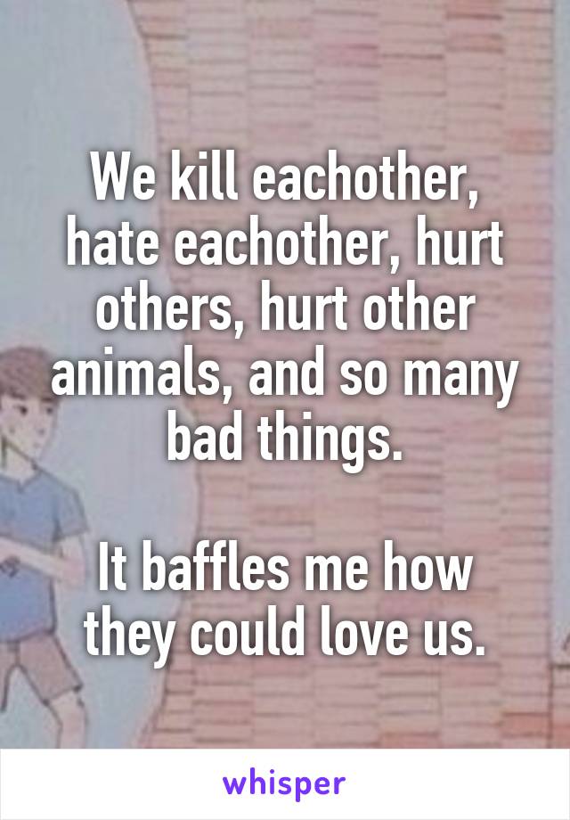 We kill eachother, hate eachother, hurt others, hurt other animals, and so many bad things.

It baffles me how they could love us.