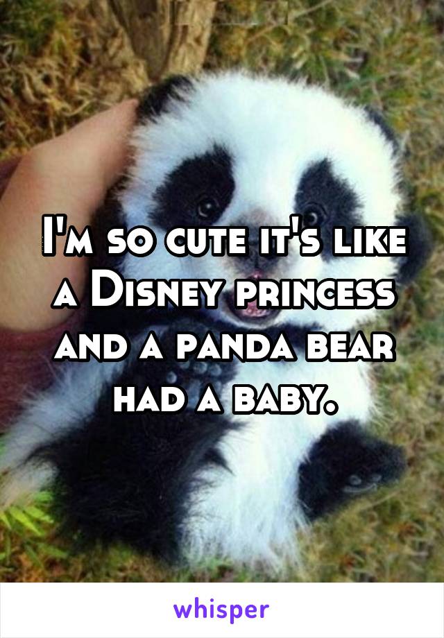 I'm so cute it's like a Disney princess and a panda bear had a baby.