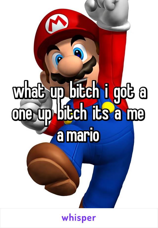 what  up  bitch  i  got  a one  up  bitch  its  a  me  a mario 