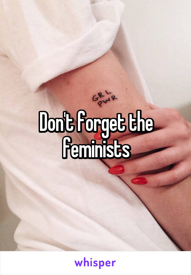 Don't forget the feminists