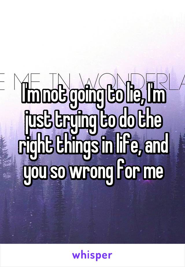 I'm not going to lie, I'm just trying to do the right things in life, and you so wrong for me