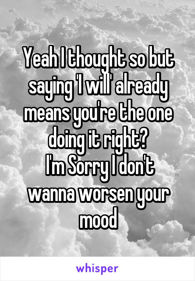 Yeah I thought so but saying 'I will' already means you're the one doing it right?
 I'm Sorry I don't wanna worsen your mood