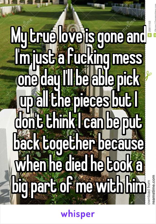 My true love is gone and I'm just a fucking mess one day I'll be able pick up all the pieces but I don't think I can be put back together because when he died he took a big part of me with him