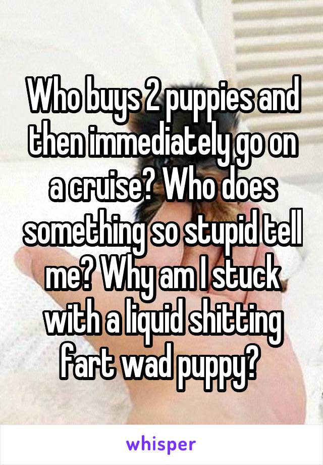 Who buys 2 puppies and then immediately go on a cruise? Who does something so stupid tell me? Why am I stuck with a liquid shitting fart wad puppy? 