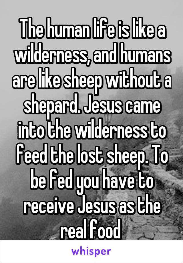 The human life is like a wilderness, and humans are like sheep without a shepard. Jesus came into the wilderness to feed the lost sheep. To be fed you have to receive Jesus as the real food 