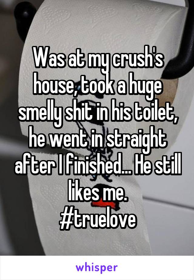 Was at my crush's house, took a huge smelly shit in his toilet, he went in straight after I finished... He still likes me.
#truelove