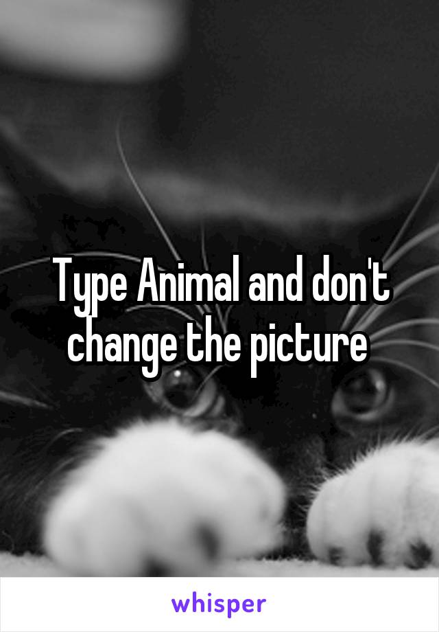 Type Animal and don't change the picture 