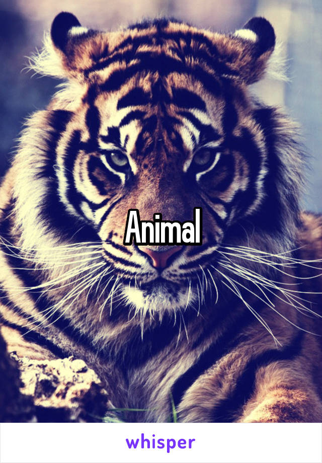 Animal