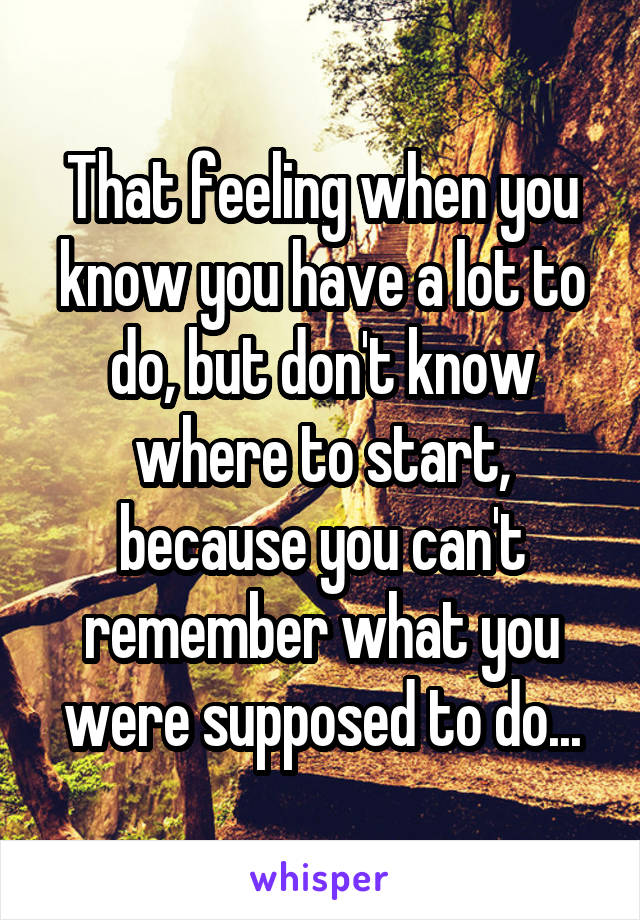 That feeling when you know you have a lot to do, but don't know where to start, because you can't remember what you were supposed to do...