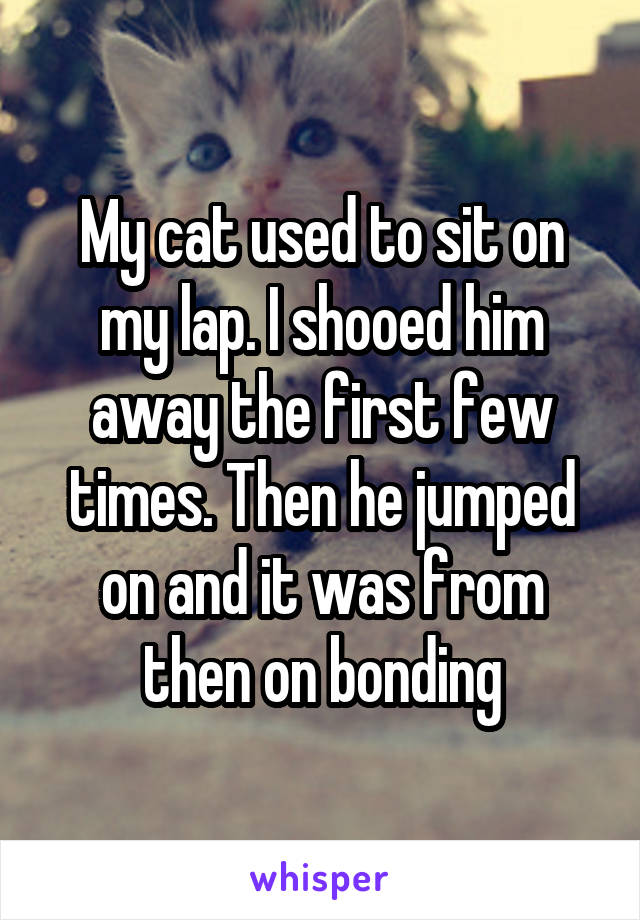 My cat used to sit on my lap. I shooed him away the first few times. Then he jumped on and it was from then on bonding