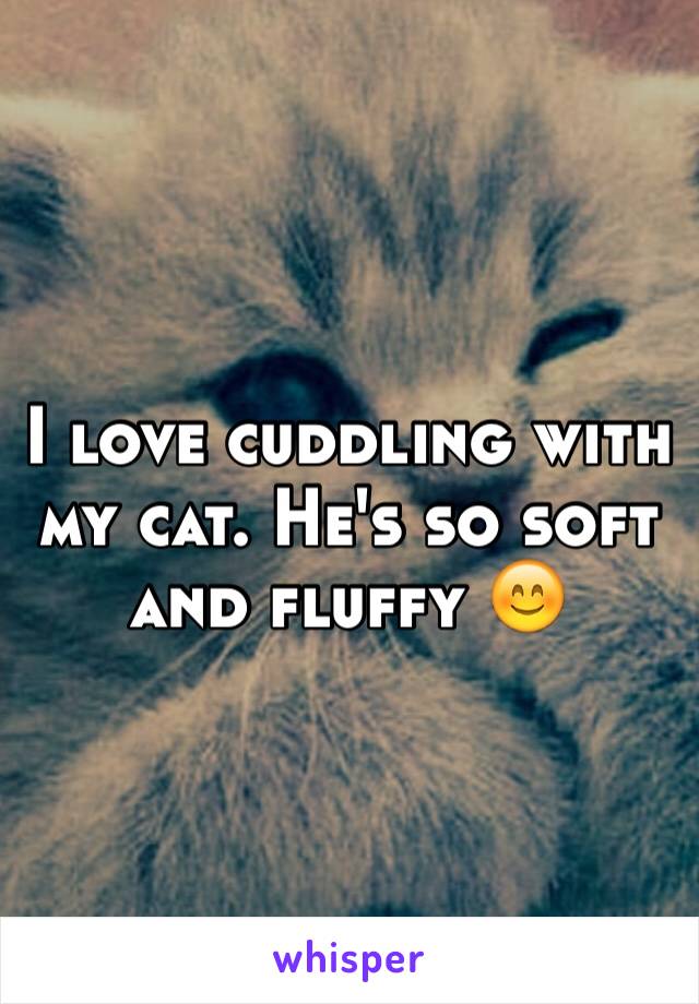 I love cuddling with my cat. He's so soft and fluffy 😊