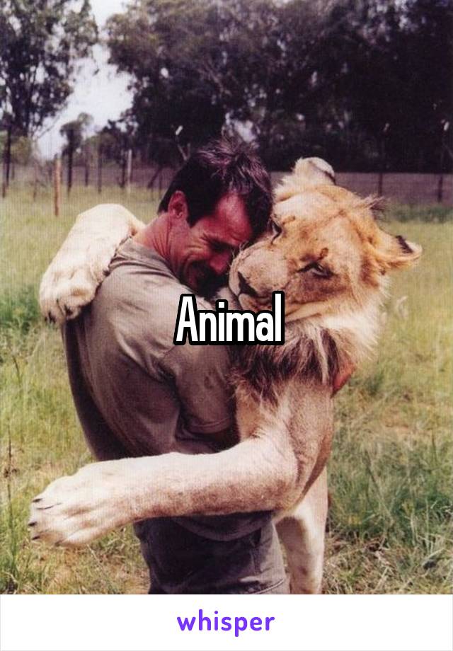 Animal