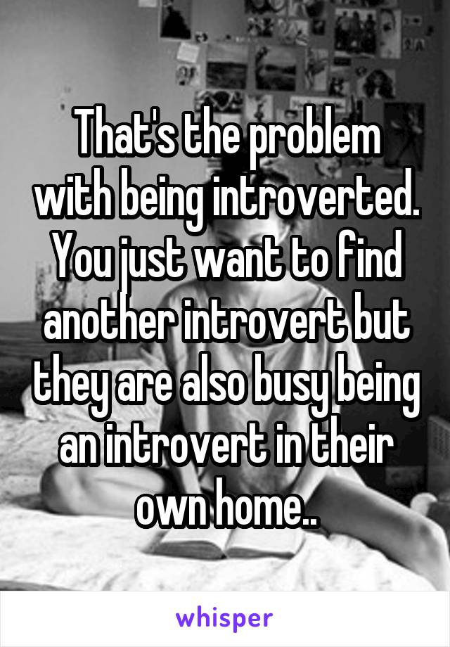 That's the problem with being introverted. You just want to find another introvert but they are also busy being an introvert in their own home..