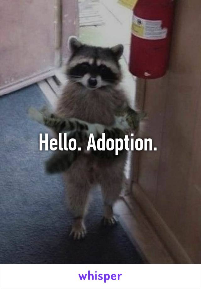 Hello. Adoption. 