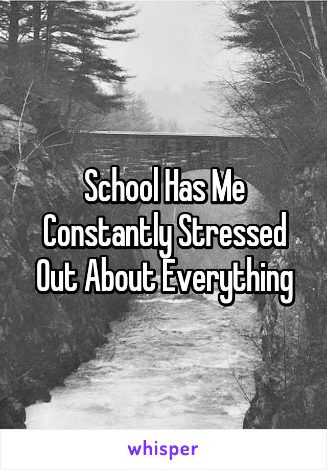 School Has Me Constantly Stressed Out About Everything