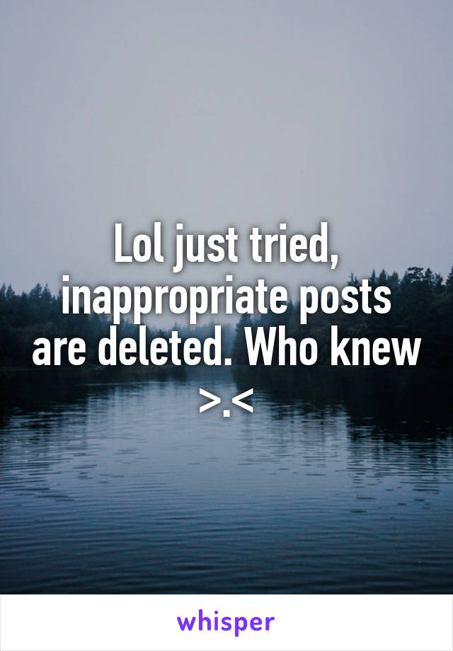 Lol just tried, inappropriate posts are deleted. Who knew >.<