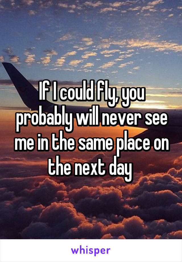 If I could fly, you probably will never see me in the same place on the next day 