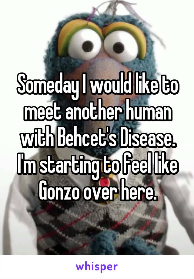 Someday I would like to meet another human with Behcet's Disease. I'm starting to feel like Gonzo over here.