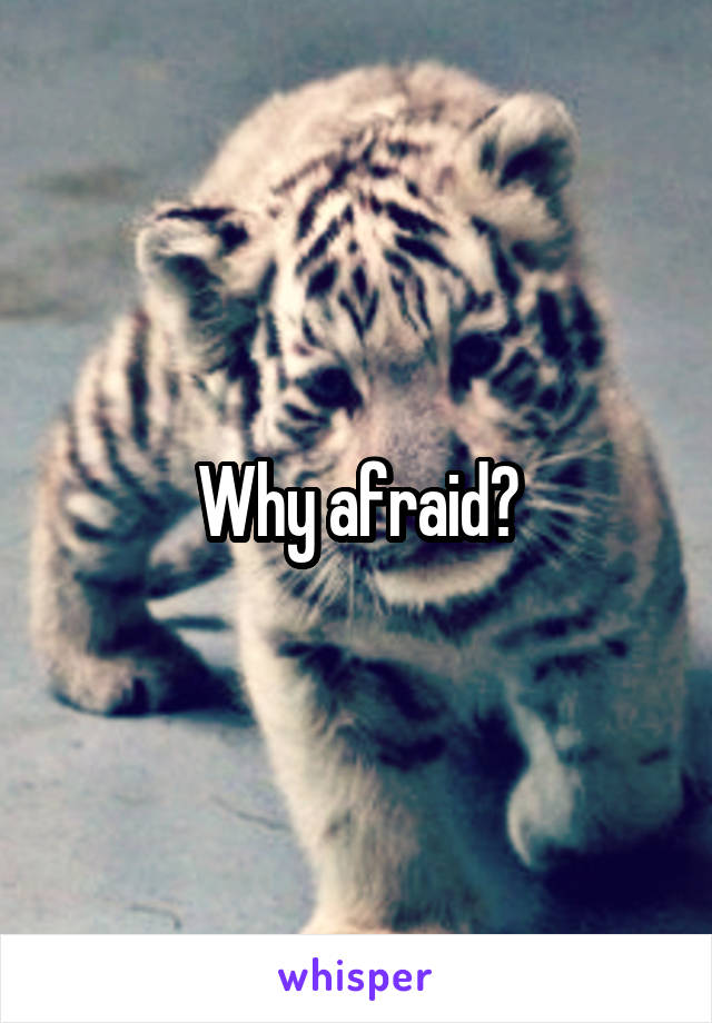 Why afraid?