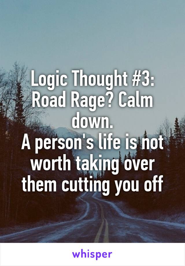 Logic Thought #3:
Road Rage? Calm down.
A person's life is not worth taking over them cutting you off