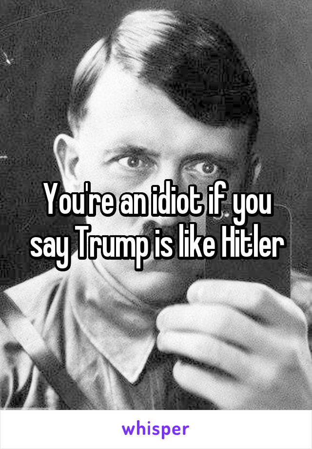 You're an idiot if you say Trump is like Hitler