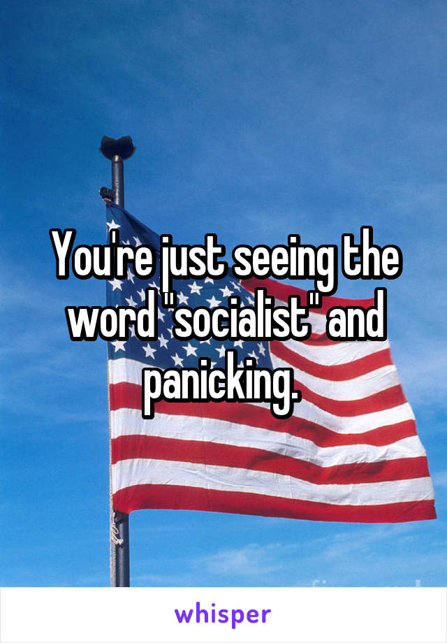 You're just seeing the word "socialist" and panicking. 