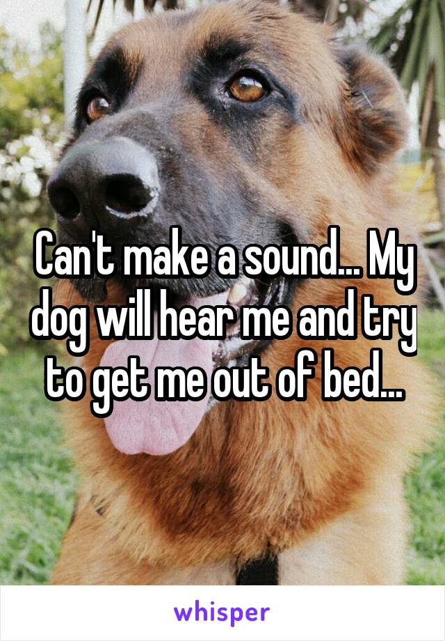 Can't make a sound... My dog will hear me and try to get me out of bed...