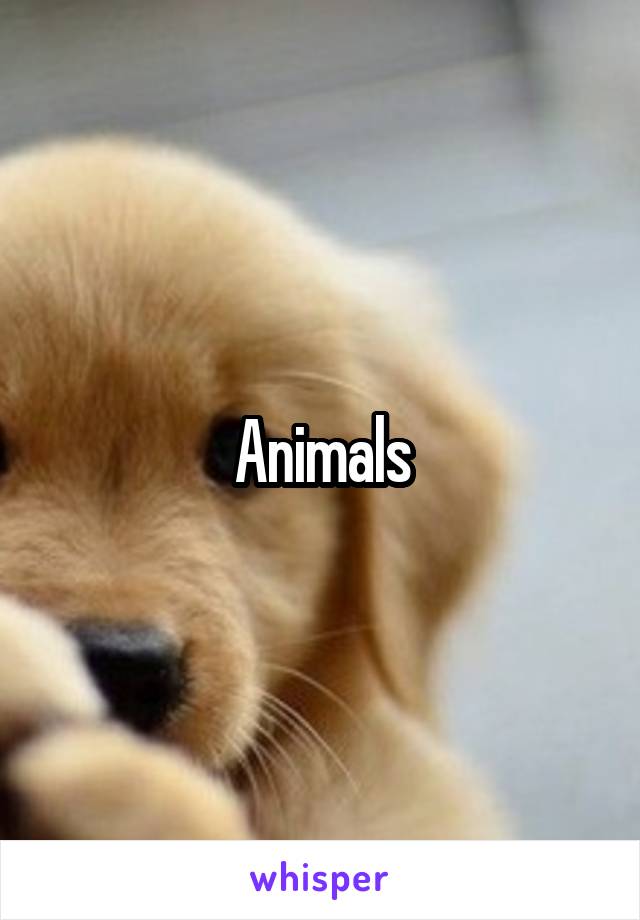 Animals