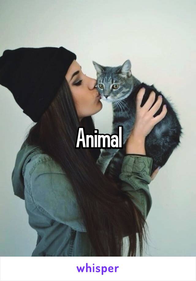 Animal