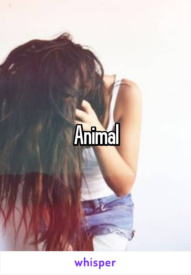 Animal