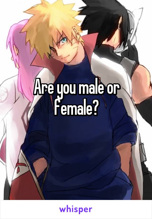 Are you male or female?
