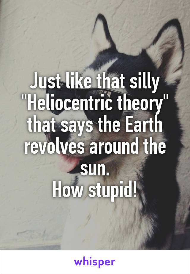 Just like that silly
"Heliocentric theory"
that says the Earth revolves around the sun.
How stupid!