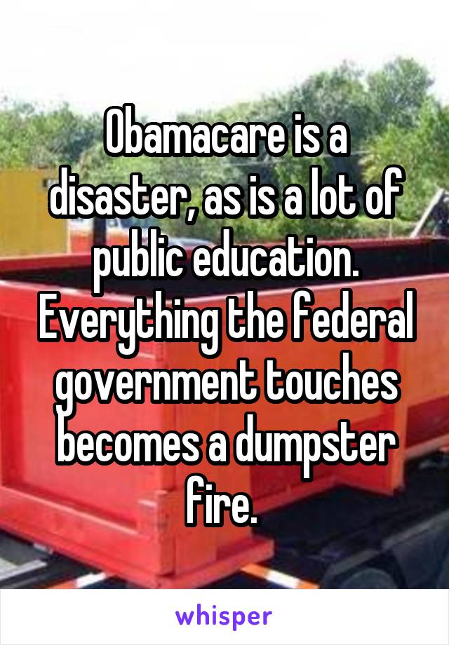 Obamacare is a disaster, as is a lot of public education. Everything the federal government touches becomes a dumpster fire. 