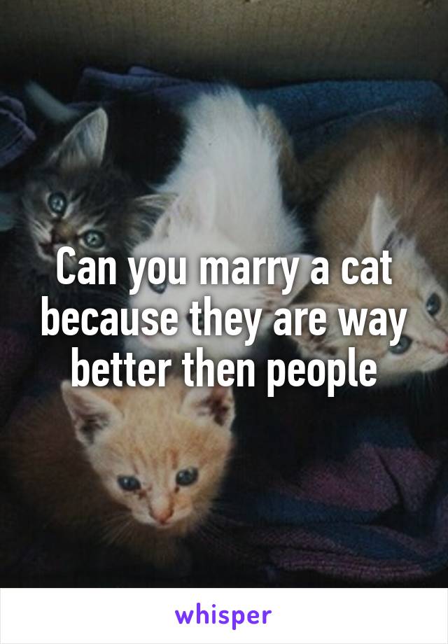 Can you marry a cat because they are way better then people