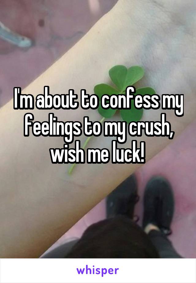 I'm about to confess my feelings to my crush, wish me luck! 
