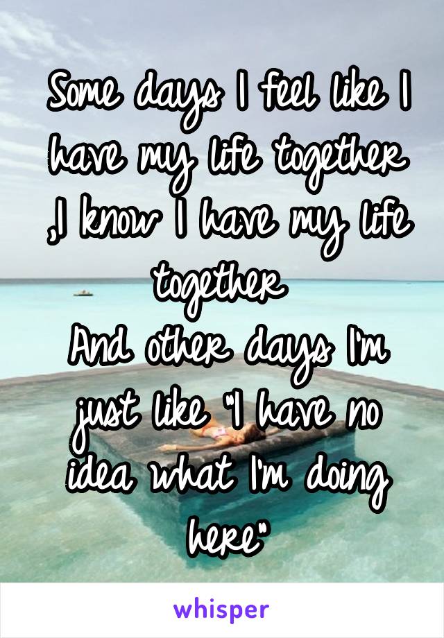 Some days I feel like I have my life together ,I know I have my life together 
And other days I'm just like "I have no idea what I'm doing here"